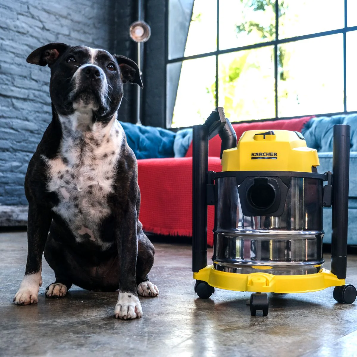 Aspiradora 3 en 1 agua y polvo WDL1s 12L Karcher - Imagen 6